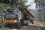 Logging truck carrying timber out of the Malaysian rainforest -- borneo_2954