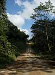 Logging road in Borneo -- borneo_2962