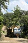 Logging truck carrying timber out of the Malaysian rainforest -- borneo_2963