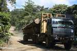 Logging truck carrying timber out of the Malaysian rainforest -- borneo_2964