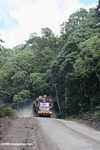 Logging truck carrying timber out of the Malaysian rainforest -- borneo_2965