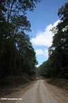 Logging road in Borneo -- borneo_2970