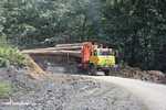 Logging truck carrying timber out of the Malaysian rainforest -- borneo_2980