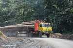 Logging truck carrying timber out of the Malaysian rainforest -- borneo_2981