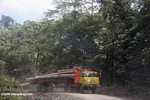 Logging truk yang membawa kayu keluar dari hutan hujan Malaysia