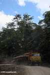 Logging truck carrying timber out of the Malaysian rainforest -- borneo_2985