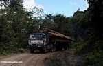 Logging truck carrying timber out of the Malaysian rainforest -- borneo_2992
