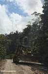 Bulldozer on a logging road -- borneo_3006