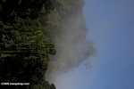 Danum Valley Rainforest -- borneo_3618