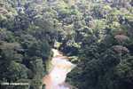 Danum river in Borneo -- borneo_3710