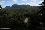 Borneo Rainforest Lodge at Danum Valley -- borneo_3716