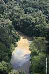 Danum river in Borneo -- borneo_3748