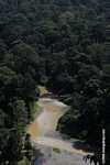 Danum river in Borneo -- borneo_3750