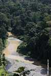 Danum river in Borneo -- borneo_3751
