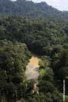 Danum river in Borneo -- borneo_3752
