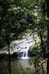 Waterfall in the Bornean rainforest -- borneo_3801