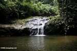 Waterfall in the Bornean rainforest -- borneo_3811