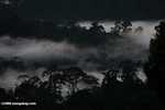 Sunset over the Borneo rainforest -- borneo_4421