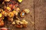 Oil palm fruit -- borneo_4523