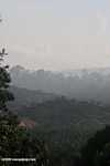 Haze rising from an oil palm plantation established on former rainforest land -- borneo_4890
