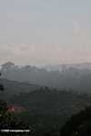 Haze rising from an oil palm plantation established on former rainforest land -- borneo_4892