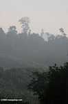 Haze rising from an oil palm plantation established on former rainforest land -- borneo_4894