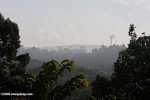 Haze over an oil palm plantation established on former rainforest land -- borneo_4923