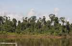 Holding pond for palm oil mill effluent and waste