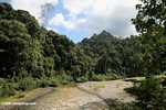 Danum river in Borneo -- borneo_6166