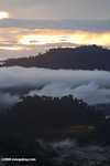Mist rising from the Borneo rainforest -- borneo_6431
