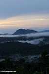 Mist rising from the Borneo rainforest -- borneo_6434