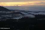 Mist rising from the Borneo rainforest -- borneo_6436a