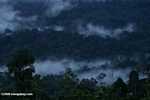 Mist rising from the Borneo rainforest -- borneo_6448