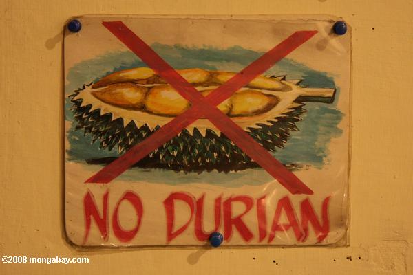 nenhum sinal durian