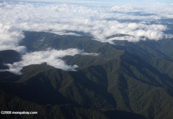ボルネオの森林に覆われた山々