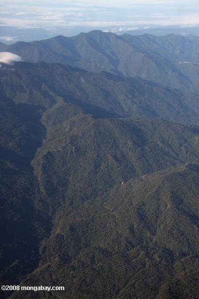 лесных изрезанный горами Борнео