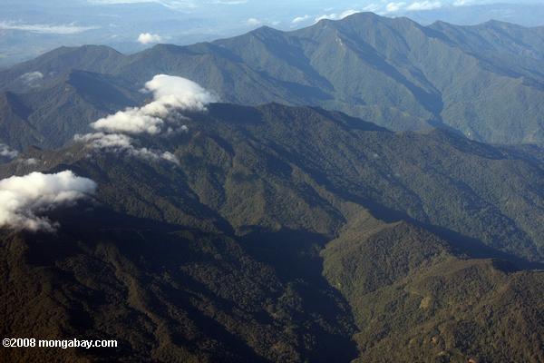Rugged forêt des montagnes de Bornéo