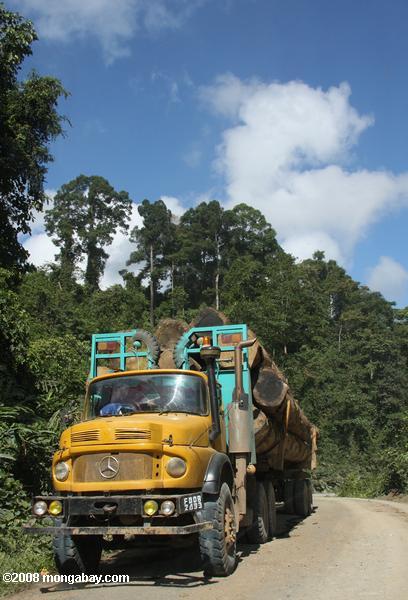 лесозаготовок грузовик, перевозивший древесину из малайзийских тропических лесов