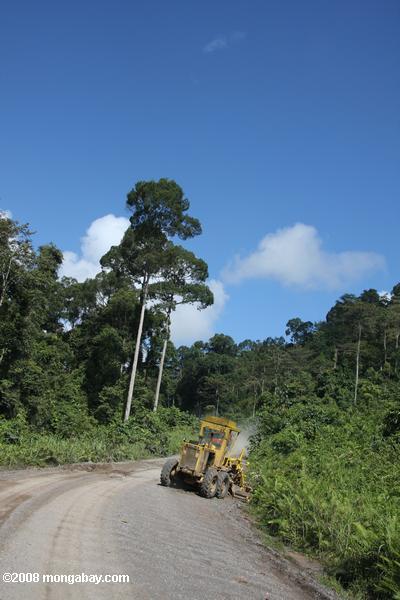 tractor en un camino forestal