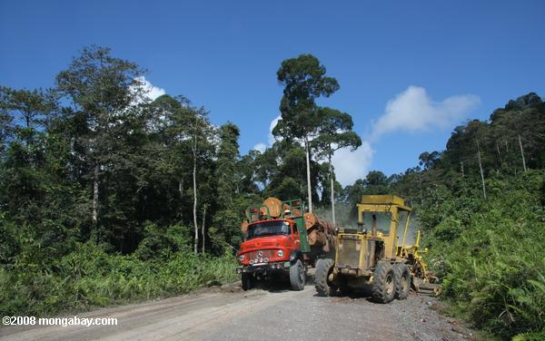 тракторного и лесозаготовительная грузовиком на дороге лесозаготовки