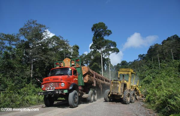 trator e um caminhão em um log logging estrada