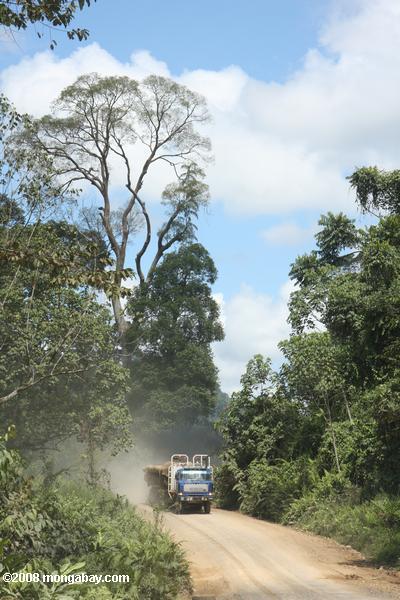 トラックは、マレーシアの熱帯雨林の伐採木材を運ぶ