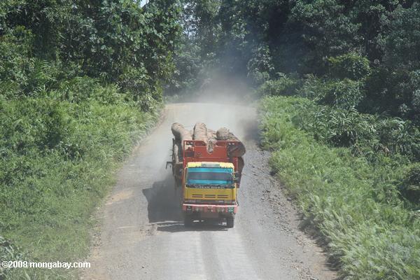 logging caminhões transportando madeira para fora da floresta tropical da Malásia
