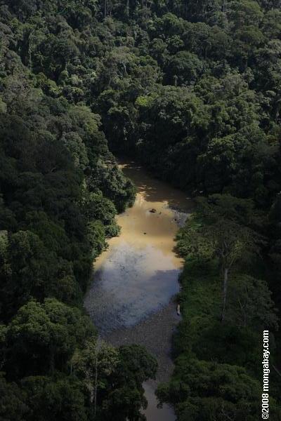 danum río en Borneo