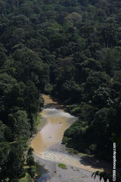 DANUM rio, em Bornéu