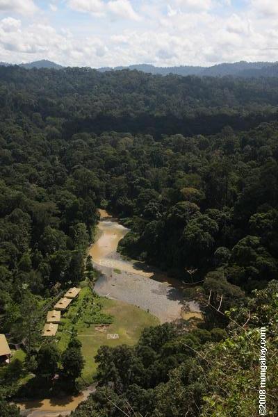ボルネオの熱帯雨林でdanum谷ロッジ