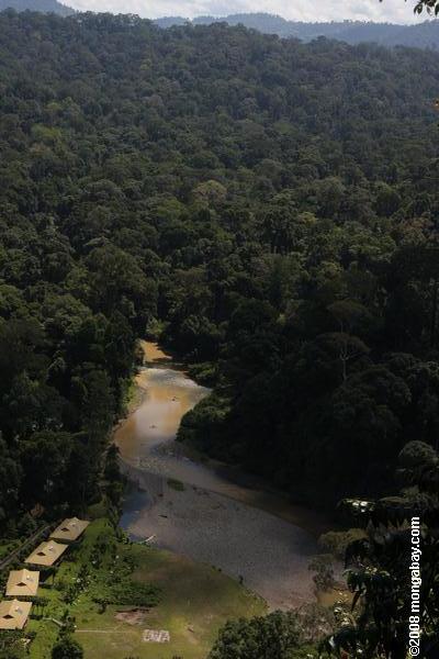 mendy rainforest apresentar no vale DANUM