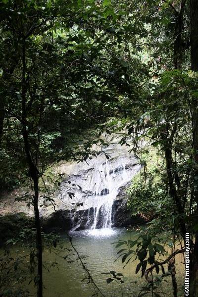 熱帯雨林の滝のbornean