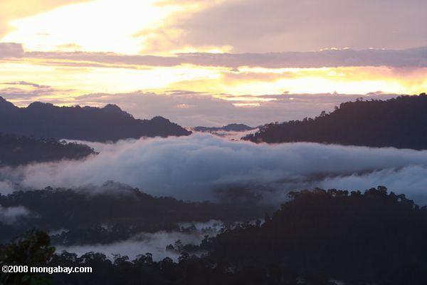 Puesta de sol sobre la selva de Borneo