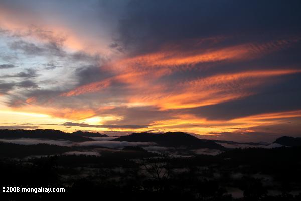 el aumento de niebla de la selva de Borneo a la puesta del sol
